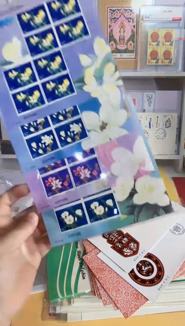 玉兰花大版（4版对号)市场100以上