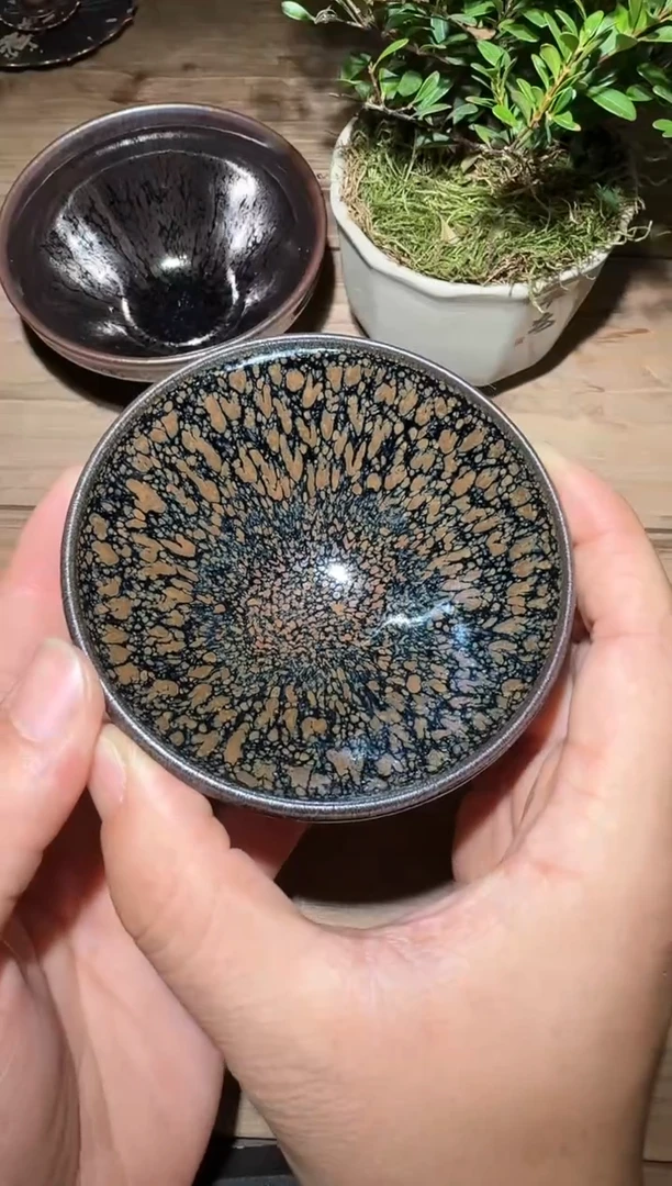 茶盏老木头精选柴烧298