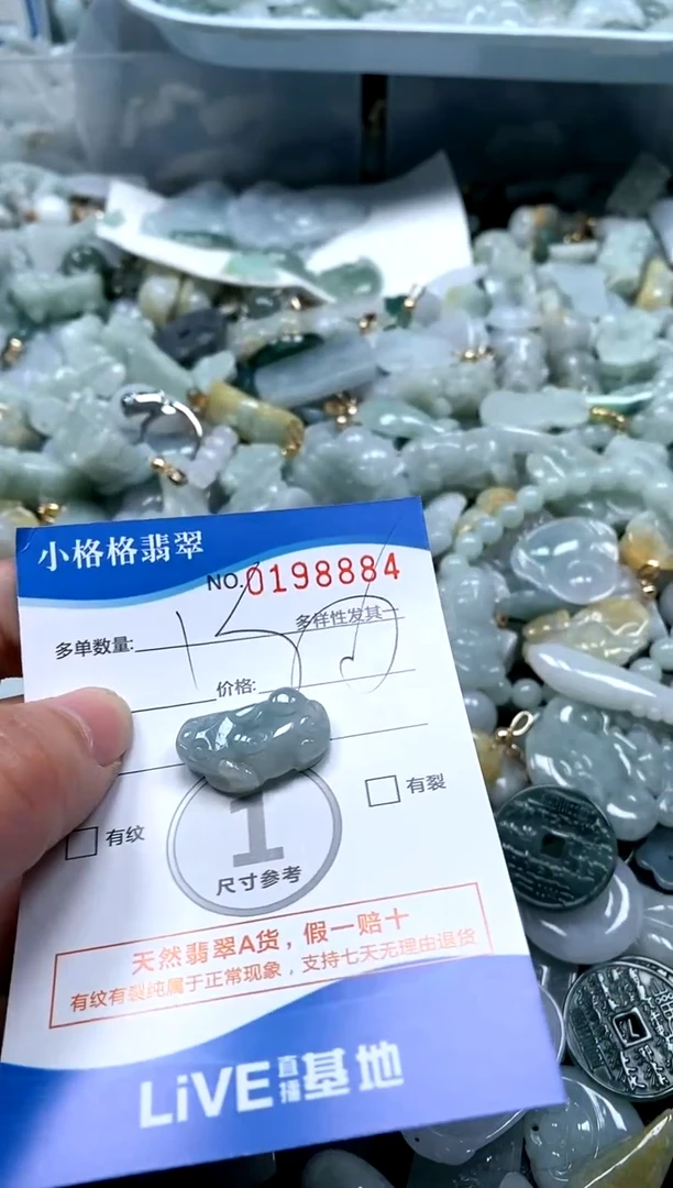 【闪购商品】翡翠颈饰未镶嵌闪购商品0198884