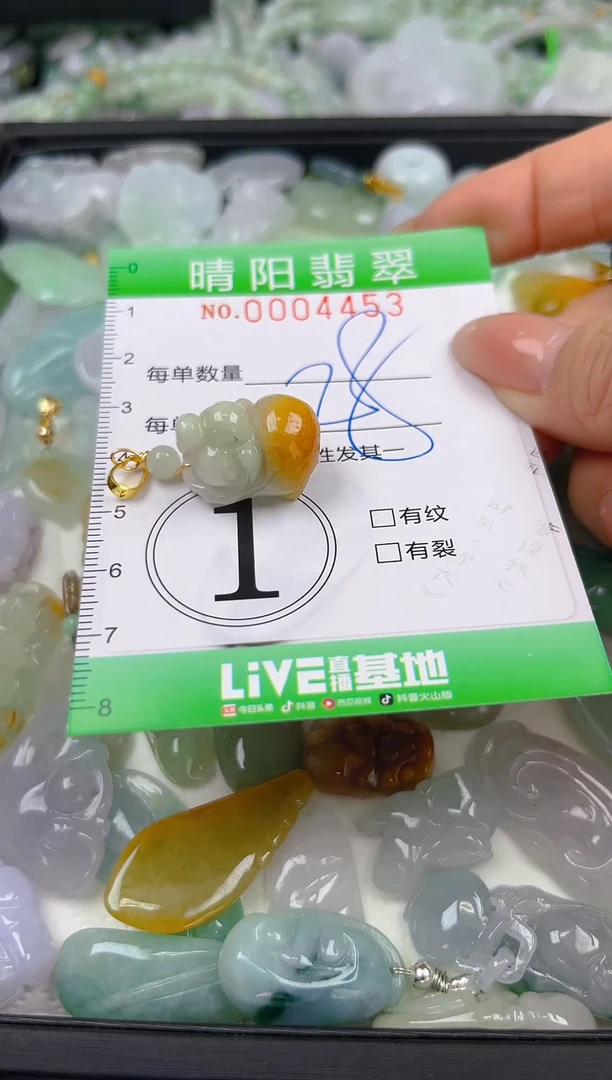 翡翠未镶嵌颈饰闪购0004453