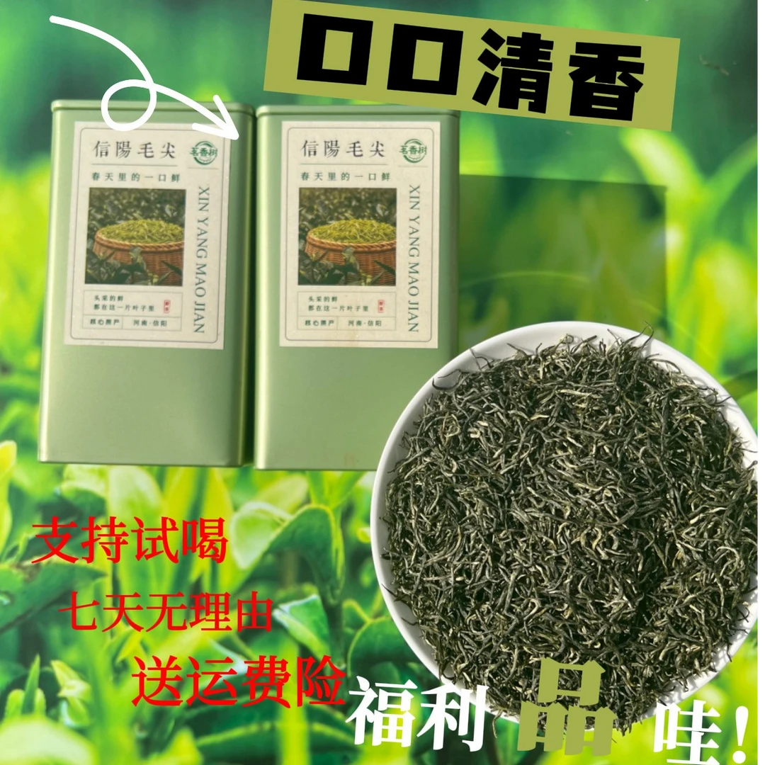 明前高山小芽香好味好