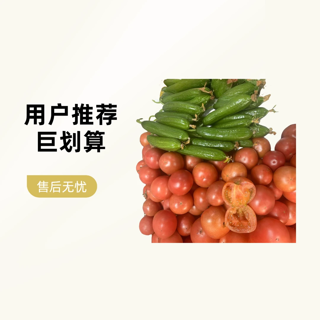 本地拉比草莓西红柿+水果黄瓜（乳瓜）快递包邮次日达+整5斤