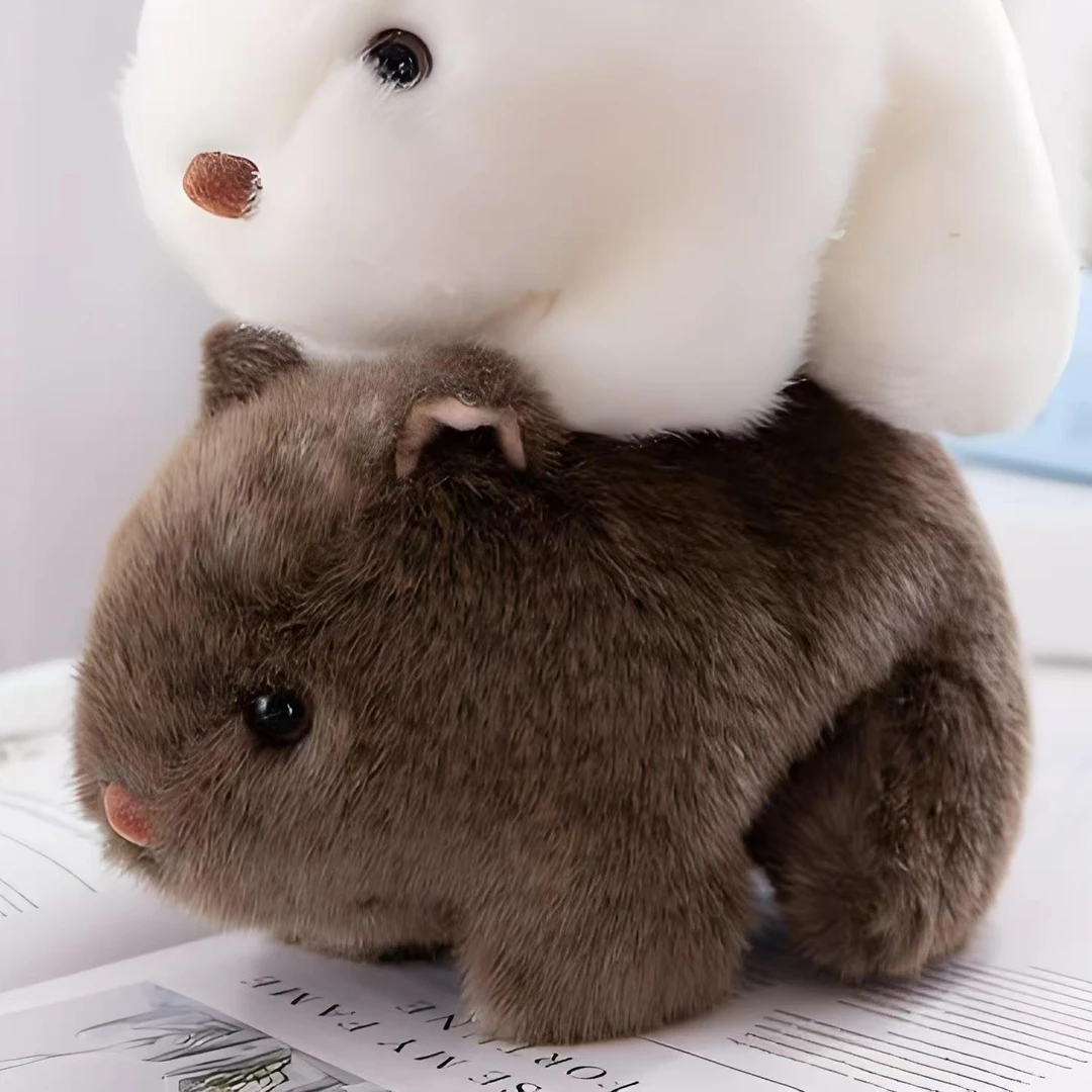 直播间毛绒玩具偏远地区专用链接