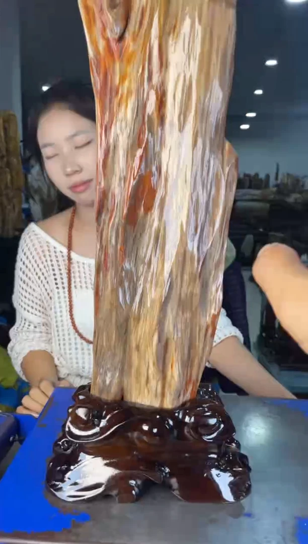 未镶嵌摆件硅化玉25