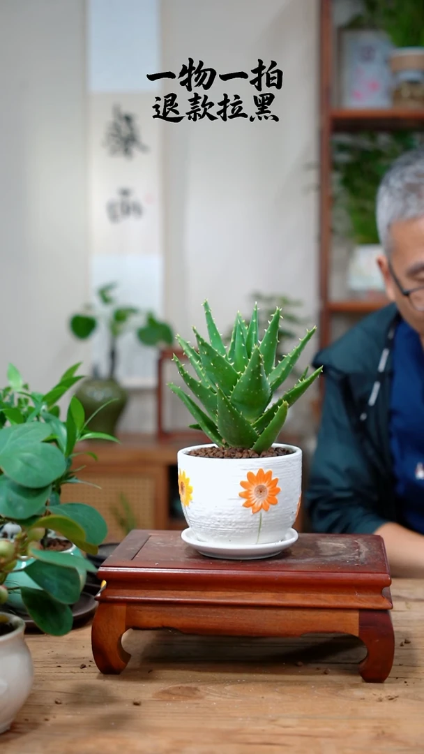 完全开放?****?芦荟015