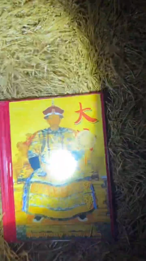 瓷片多多专属精品链接