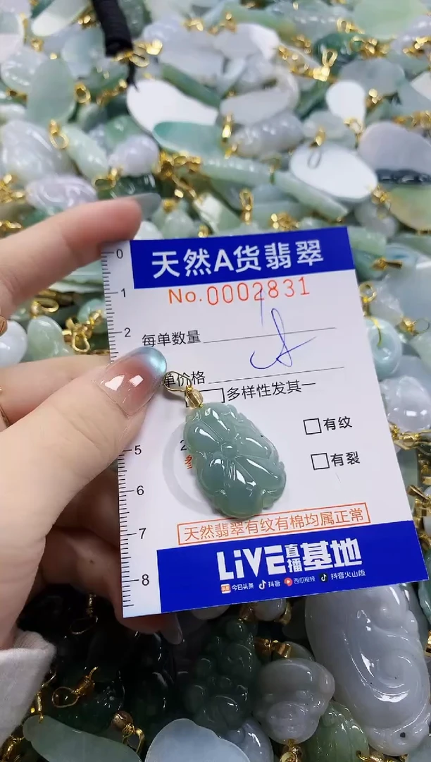 颈饰未镶嵌翡翠纯天然a货翡翠