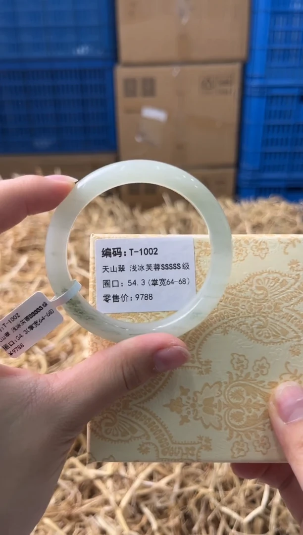 未镶嵌手镯石英质玉T-1002