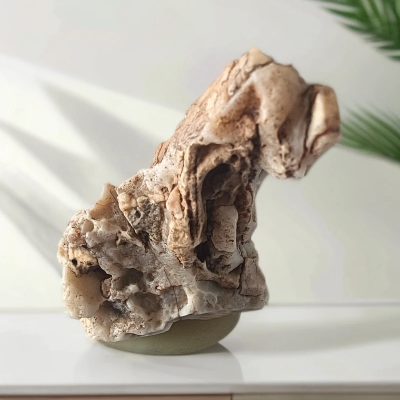 大漠戈壁奇石风凌石