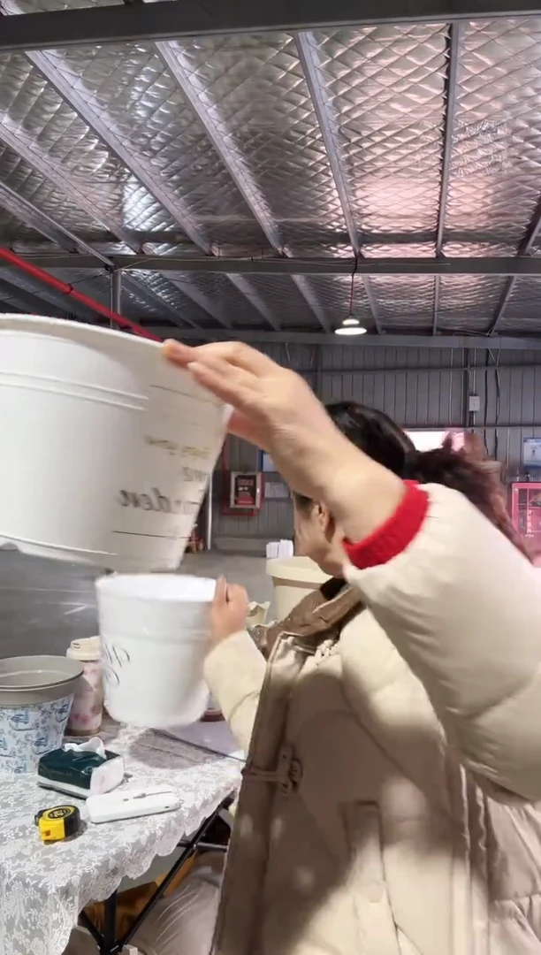 【闪购商品】塑料8寸罗斯玛丽白色印花4套装带托