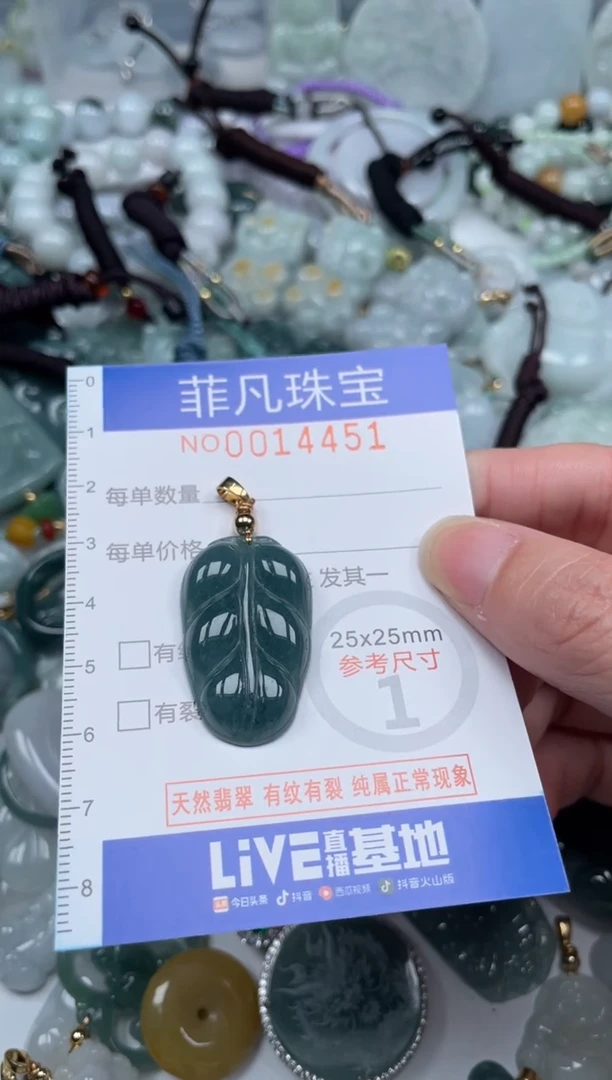 颈饰未镶嵌翡翠14451