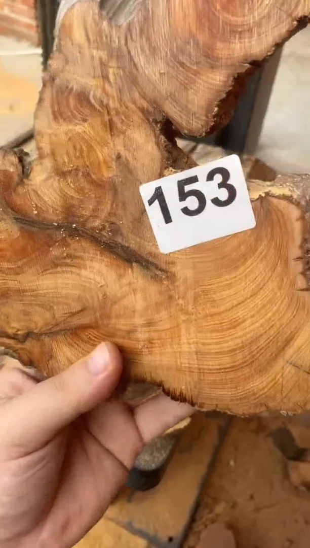 柏木（崖柏）太行陈化崖柏切片一块（津诚林）