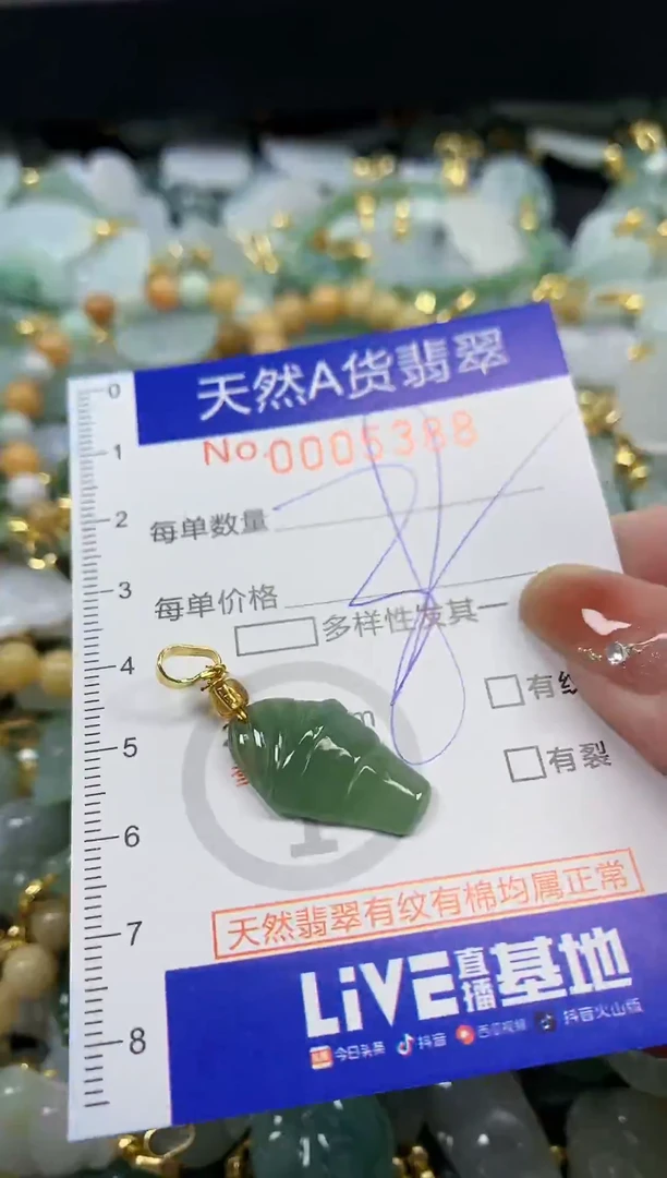 颈饰未镶嵌翡翠天然A货翡翠