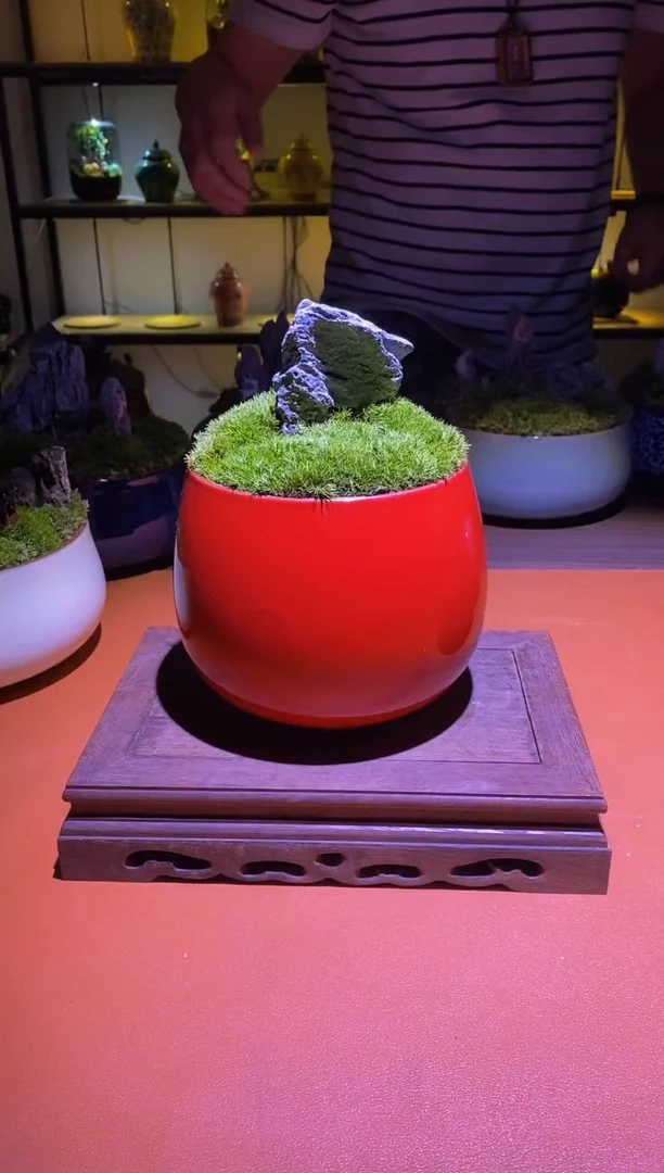 吉鑫福利精选福力