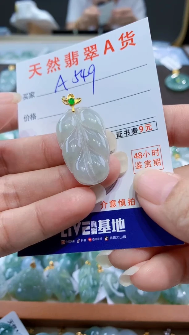 颈饰未镶嵌翡翠天然翡翠A货挂件