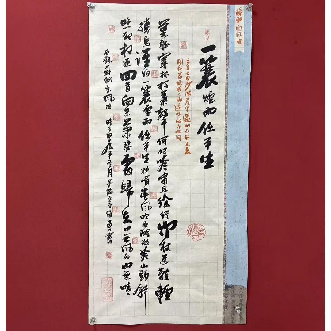 赵世界书法作品--《一蓑烟雨任平生》