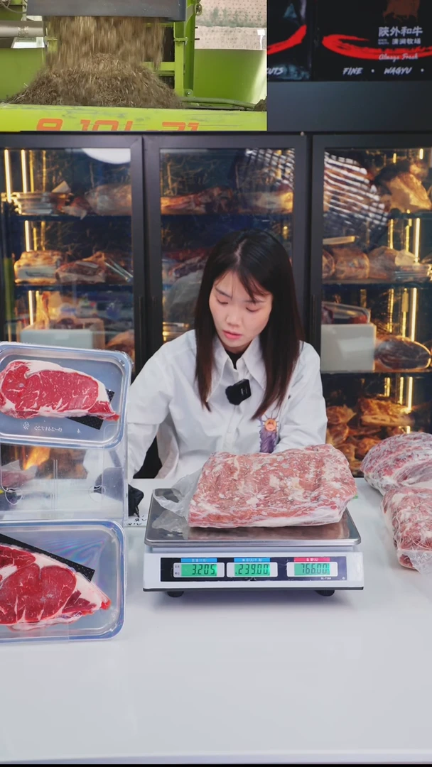 24中国大陆3.2KG A1西冷