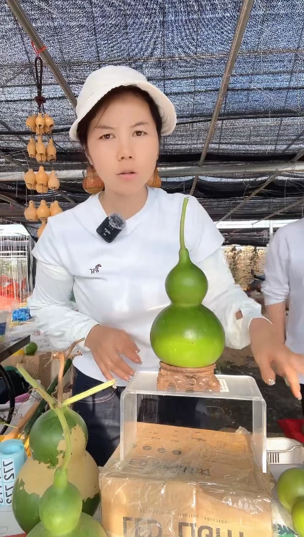 771天然葫芦摆件 一物一拍龙头不保售后