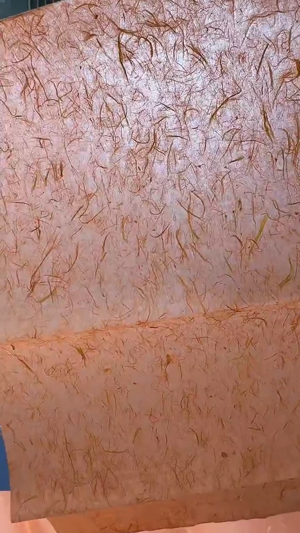 30*60珍金雁楮清水爱马仕橙50张