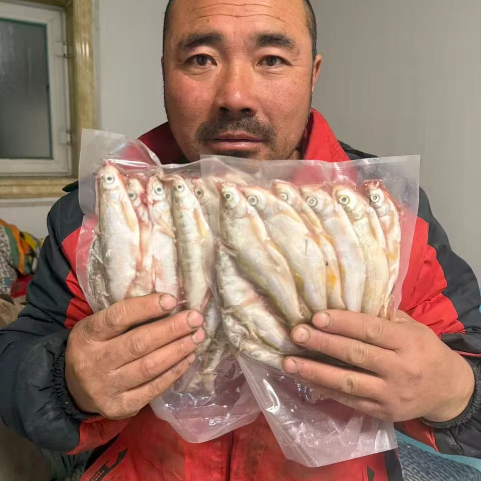 东北冷水野生小白鱼