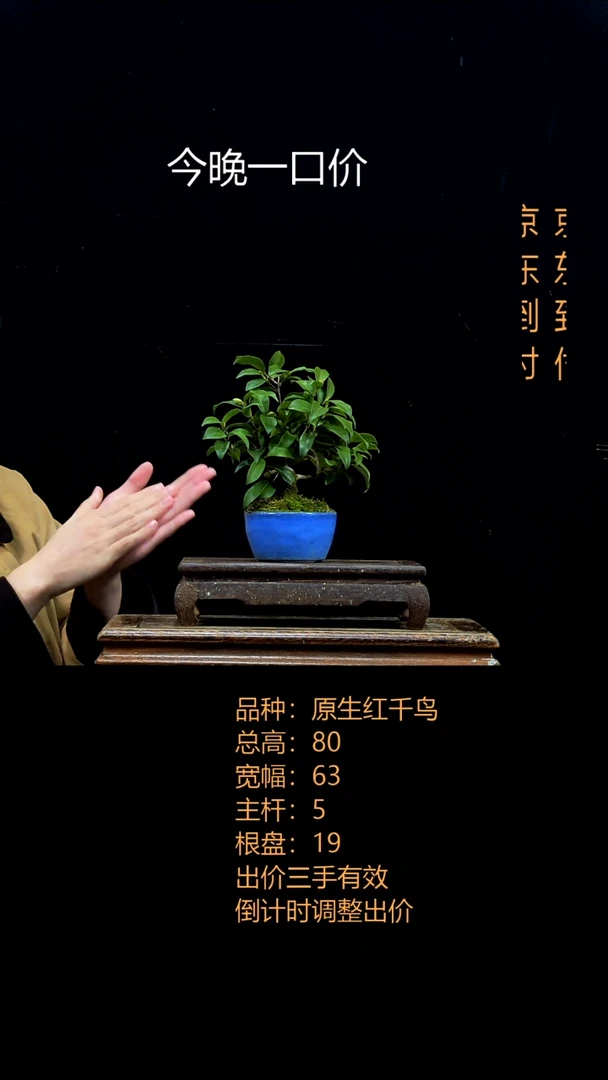 无花朵半****?000000你0000