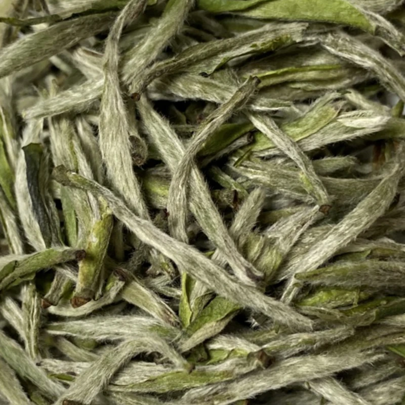 【天村稠岭】2022年政和白茶雪后抛荒稠岭政大白毫银针