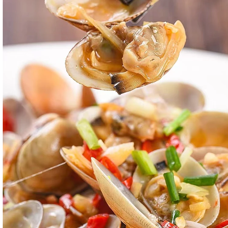 【鸿燎食材】贝尔帝冻煮真空杂色蛤  500g/袋