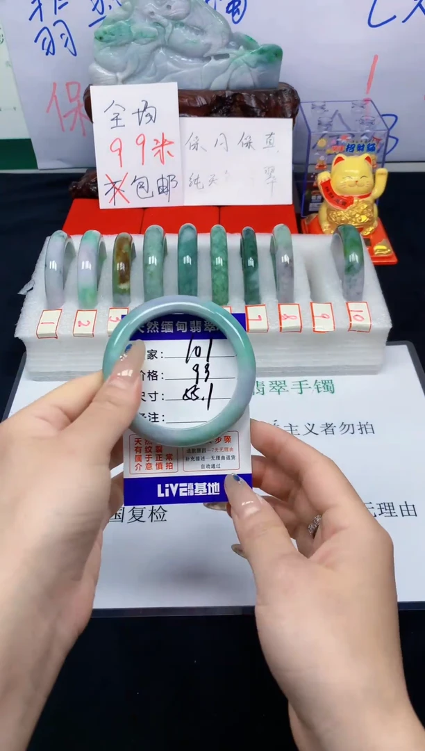 未镶嵌手镯翡翠101
