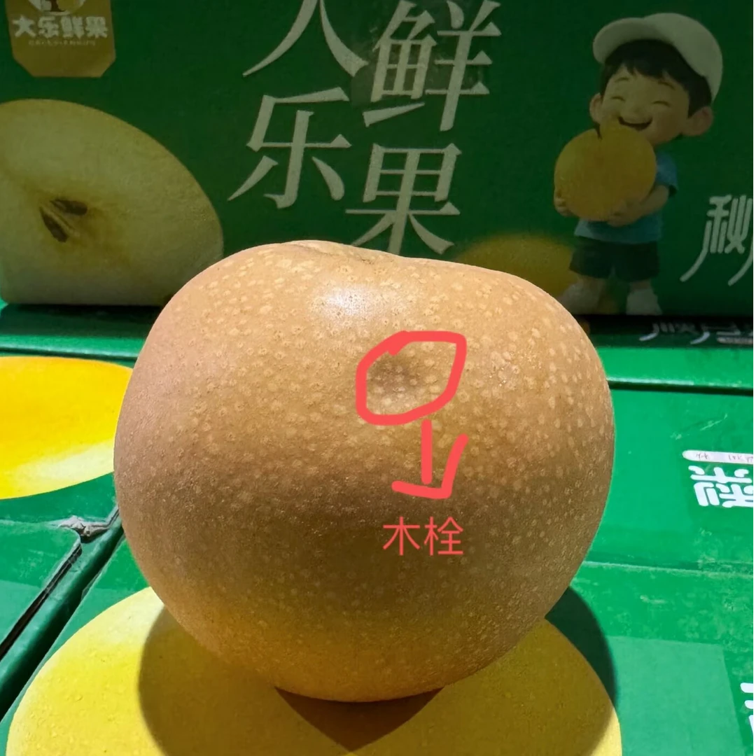 【大乐鲜果 福利果】山东正宗头茬秋月梨4.8-5.2斤装（削皮吃）京东