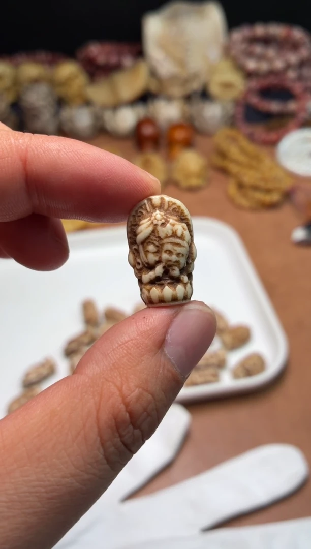 牛骨其他P1198-扎吉拉姆-有棕裂