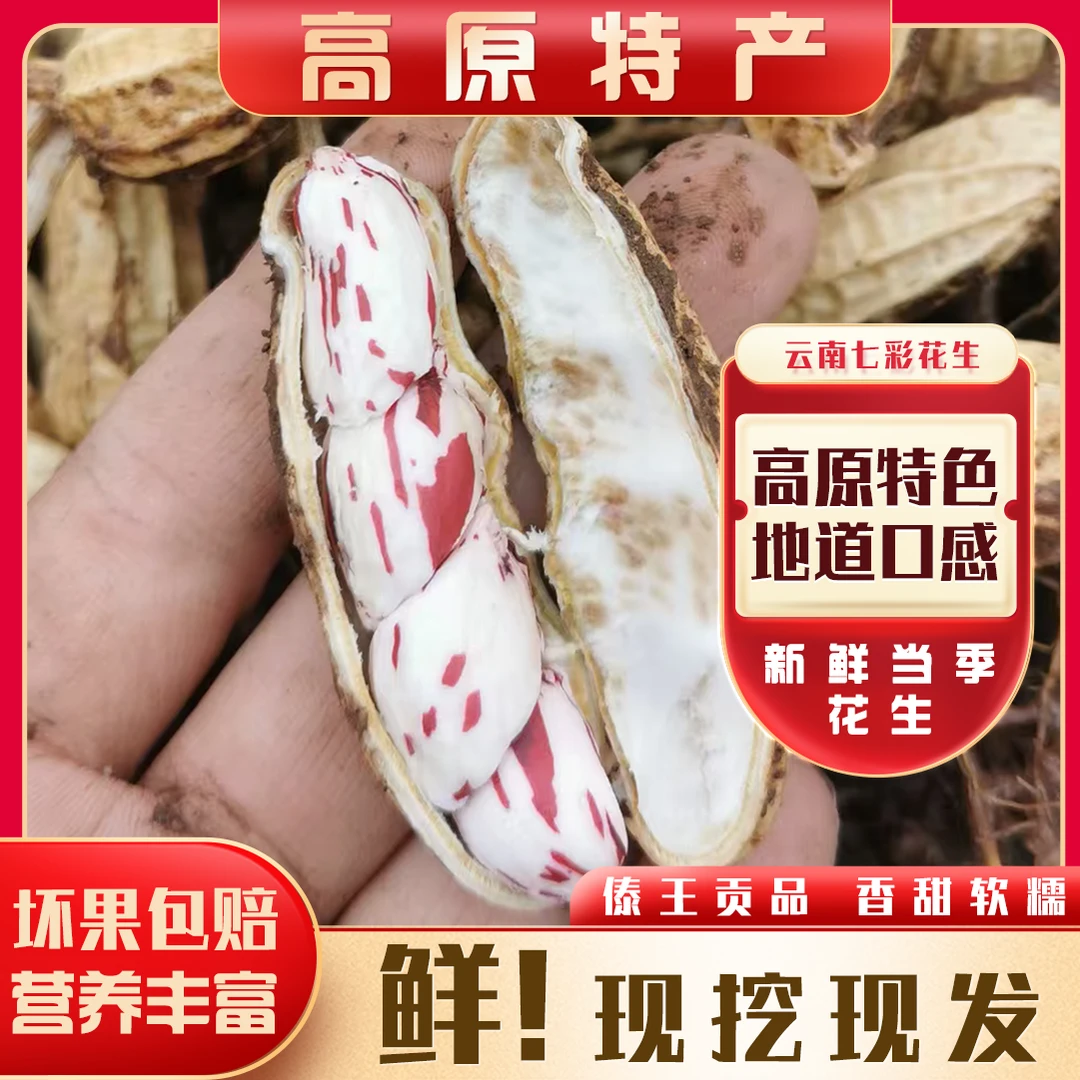 云南高原农家现挖七彩花生不带泥颗粒饱满1斤/2斤/3斤5斤人工挑选