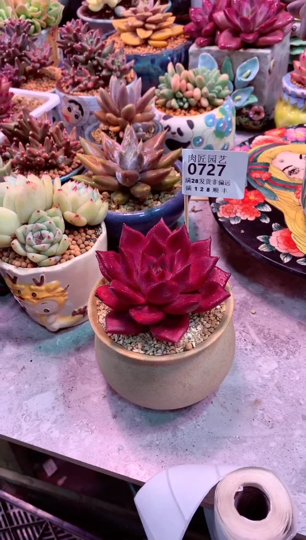 0727（满28发货包邮非偏远）