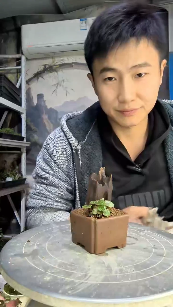 取****呢中青园艺一物一拍66