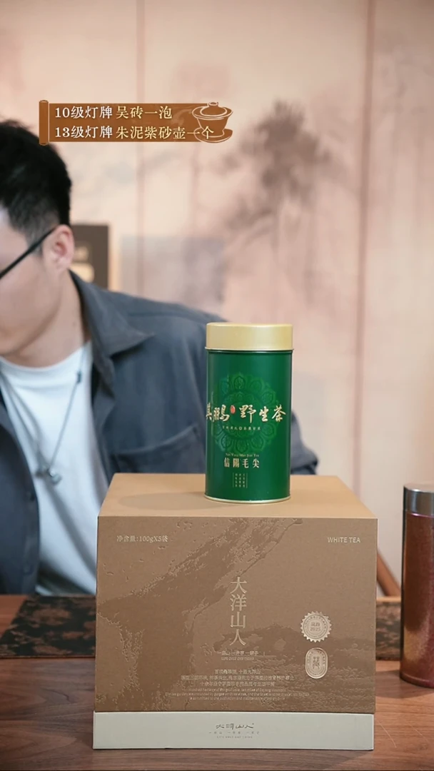 茶壶紫砂信阳毛尖野茶125g