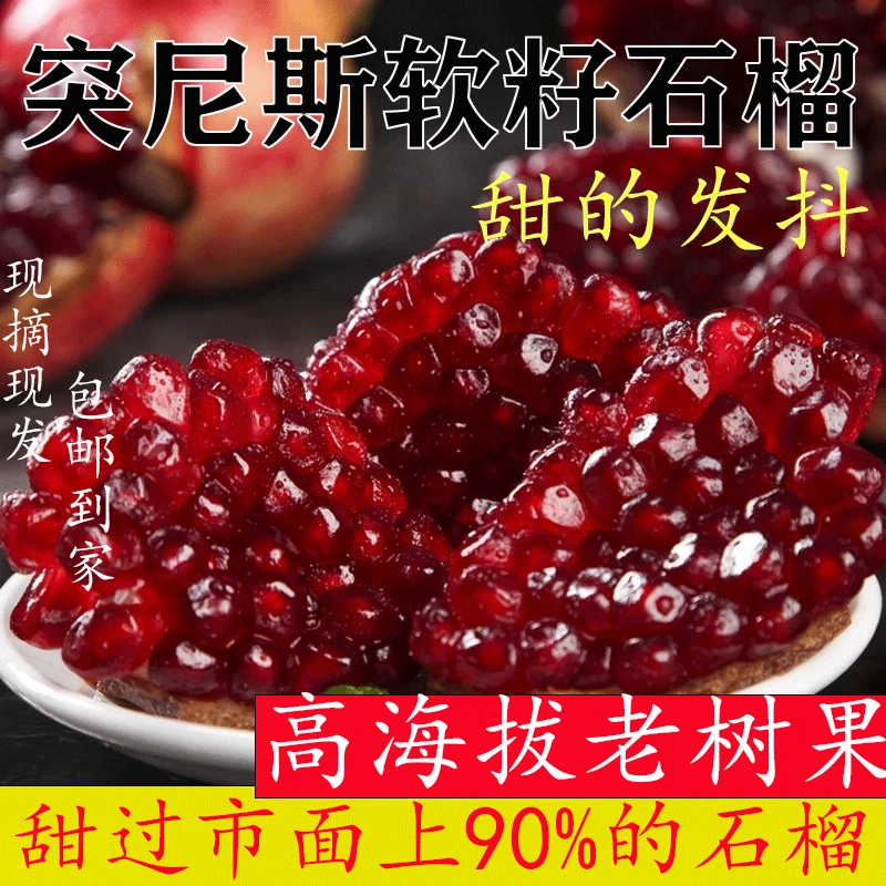 30年老树突尼斯软籽石榴爆甜16度会理大红石榴青皮现摘现发产地