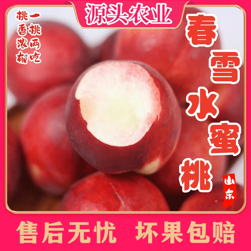 【夏日尝鲜】正宗山东春雪水蜜桃新鲜应季水果桃子 3斤 HH