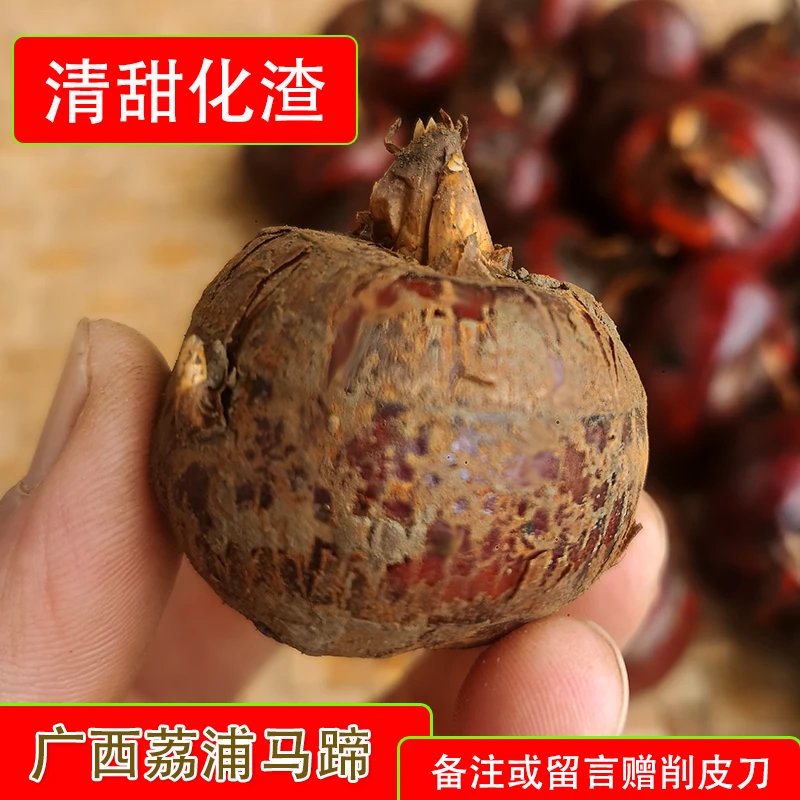 新鲜荸荠马蹄带泥现挖清甜脆爽水果蔬菜广西荔浦马蹄地梨煲汤