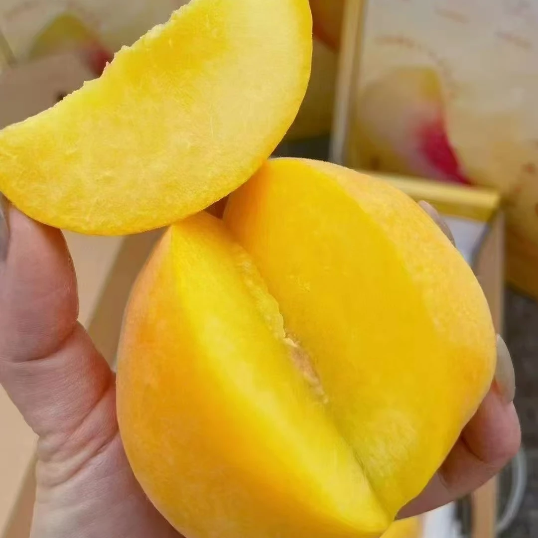 【宠粉福利】山东黄桃礼盒带箱约5斤黄桃同城送山东省