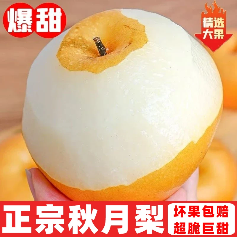 正宗秋月梨新鲜水果梨子脆甜多汁整箱无渣产地直发薄皮酥梨现货