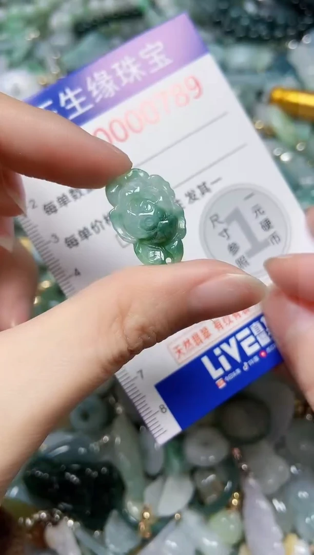 【闪购商品】翡翠颈饰未镶嵌闪购0000789