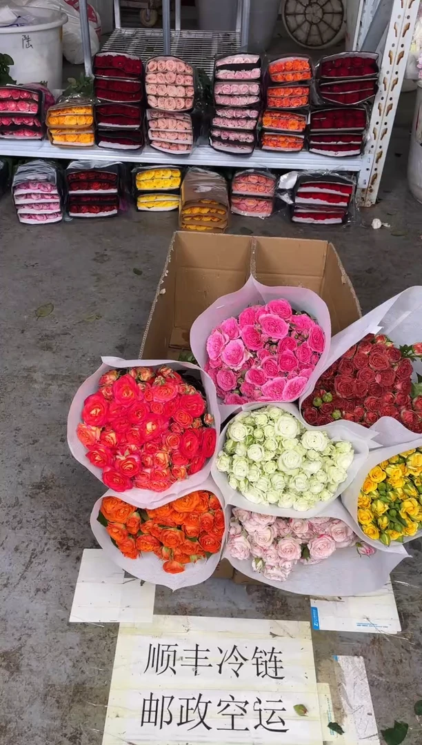 多头玫瑰5扎（任意4-5个品种）