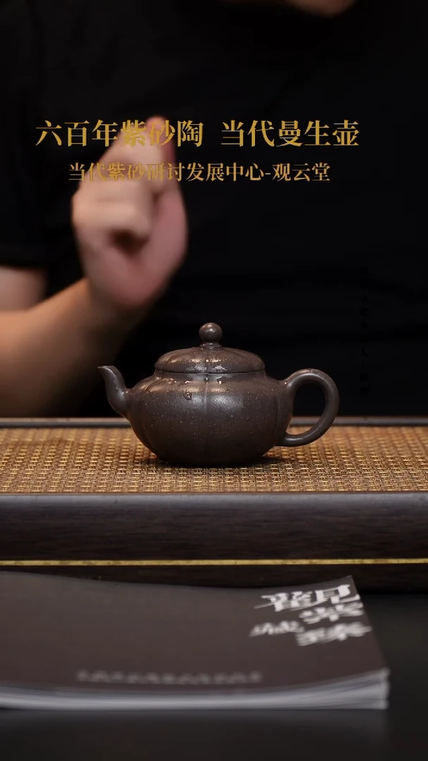 茶壶紫砂壶10 古天青