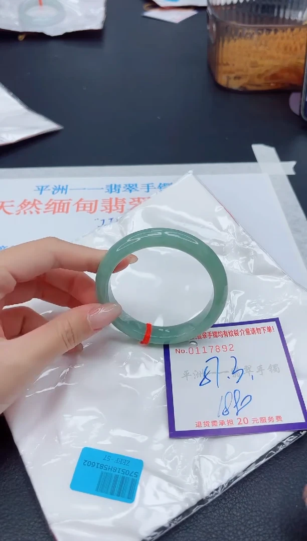 未镶嵌手镯翡翠1