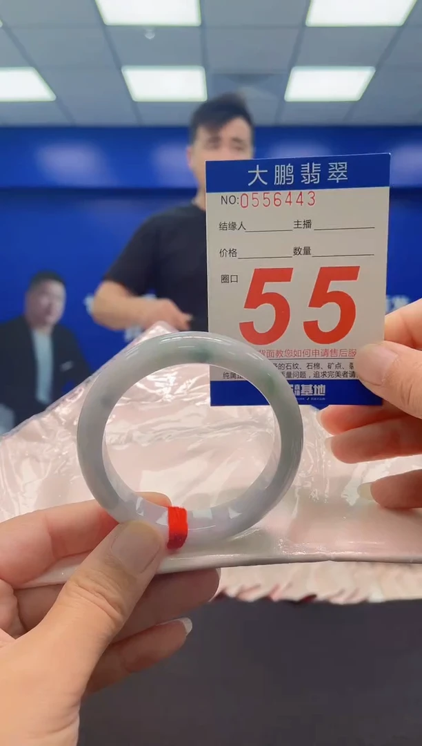 未镶嵌手镯翡翠AAAAAAAAA