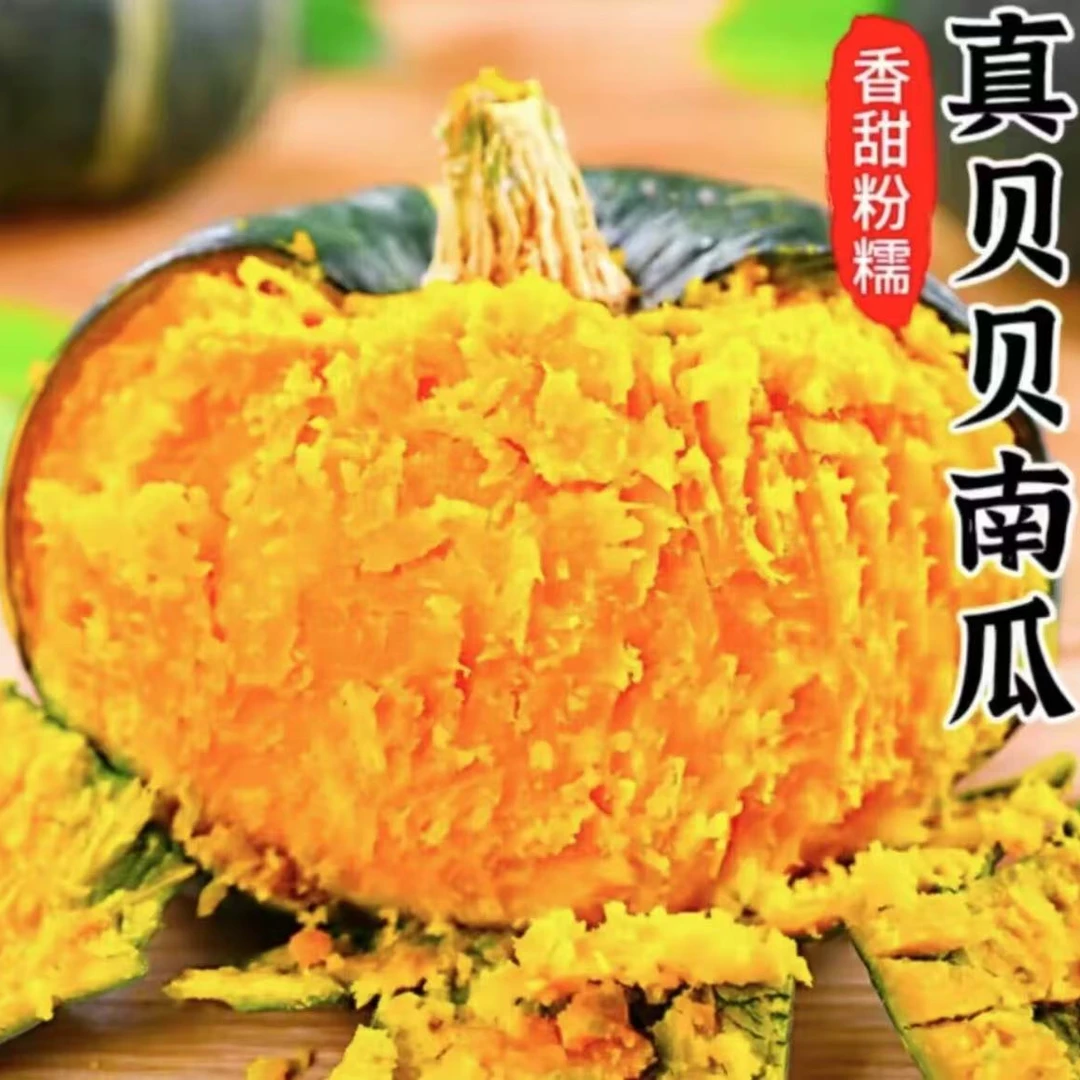 山东正宗贝贝南瓜粉糯香甜 4.5斤新鲜现摘现发