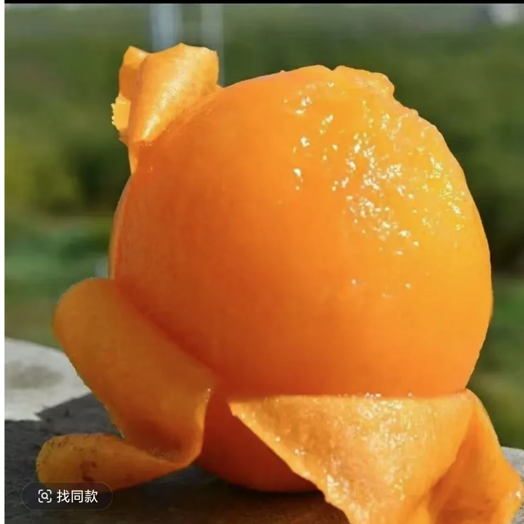 【一盒装】枇杷