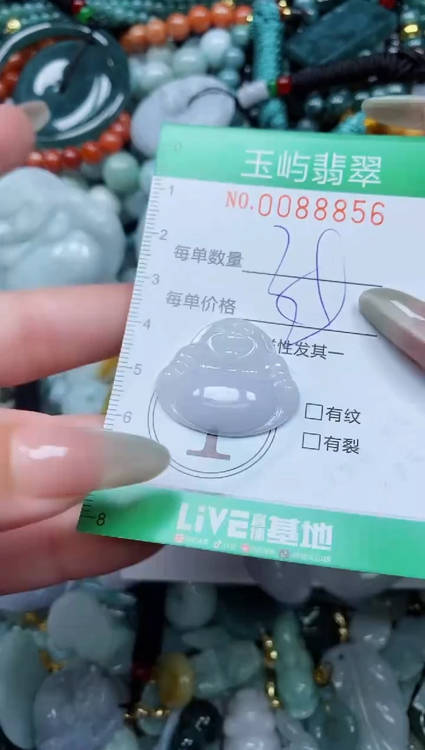 【闪购商品】翡翠颈饰未镶嵌闪购0088856