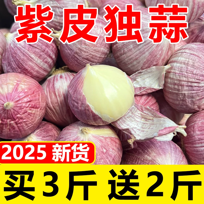 【买3斤送2斤】2025云南新鲜现挖紫皮独头蒜大蒜头老品种湿蒜腊八蒜