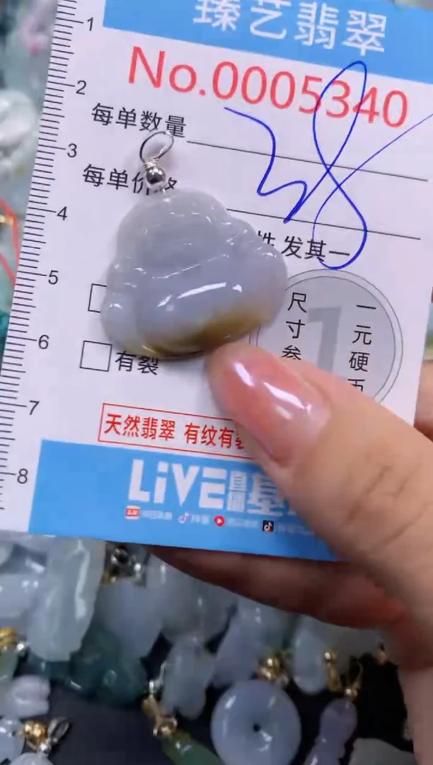 颈饰未镶嵌翡翠5340