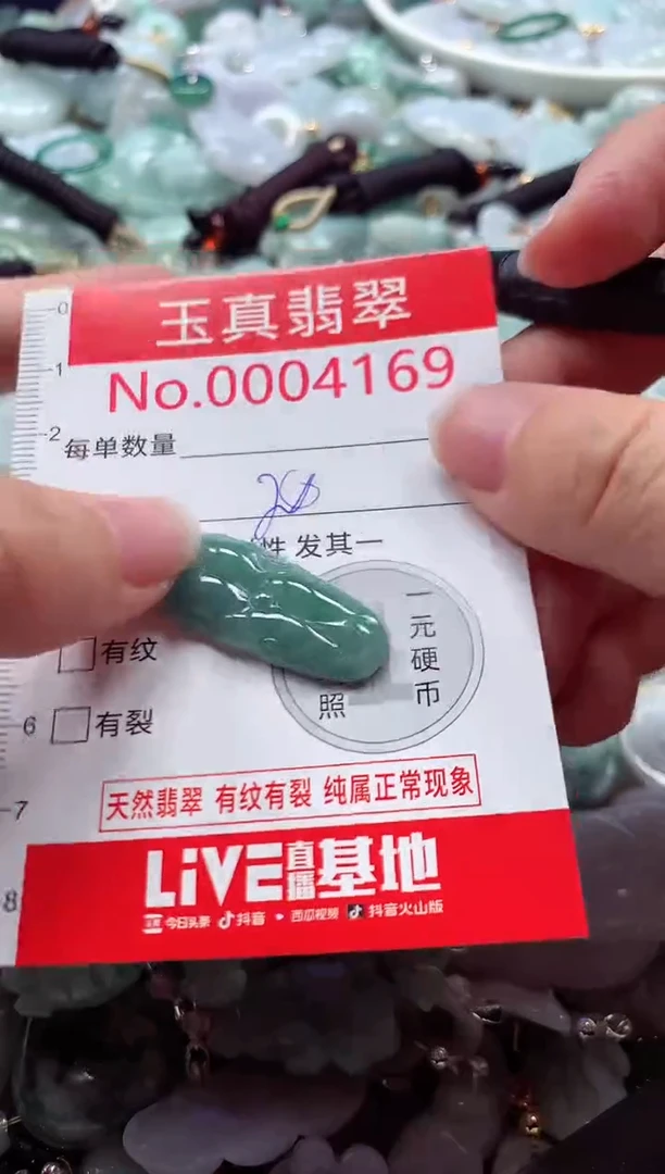 吊坠(不含链)未镶嵌翡翠4169